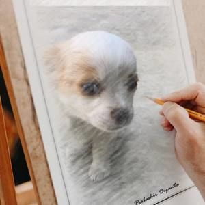 Meet your Posher, Araceli